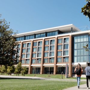 Highlander at Radford, Tapestry Collection by Hilton